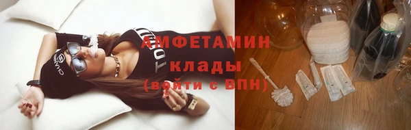 молекула духа Каменск-Шахтинский
