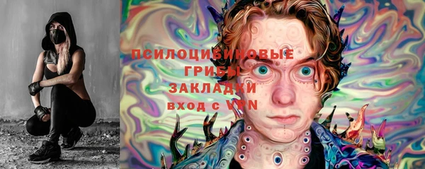 молекула духа Каменск-Шахтинский