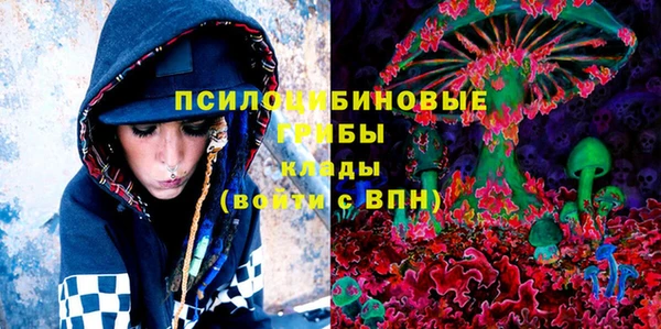 прущие крисы Каменногорск