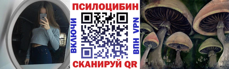 Псилоцибиновые грибы MAGIC MUSHROOMS  Купить закладки  Дзержинский 